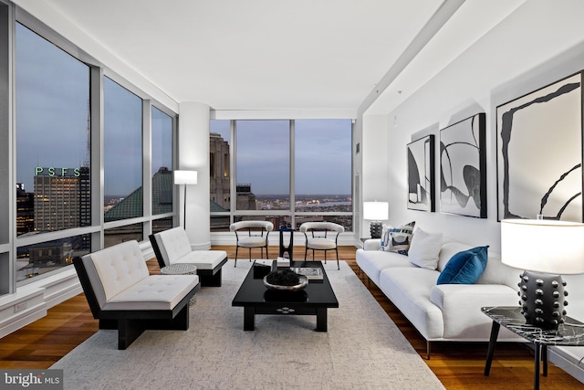 living room featuring floor to ceiling windows and dark wood-type flooring