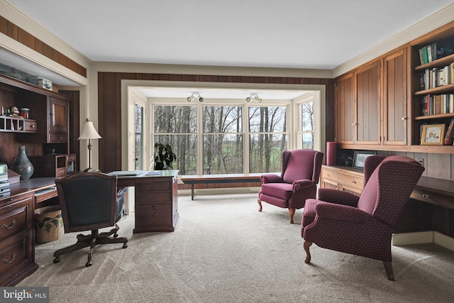 view of carpeted home office