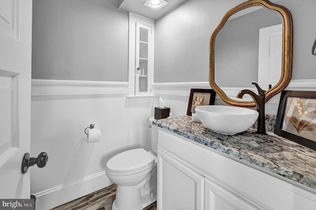 bathroom with vanity, toilet, and wood-type flooring