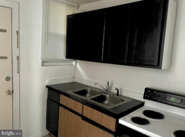 kitchen featuring sink and range