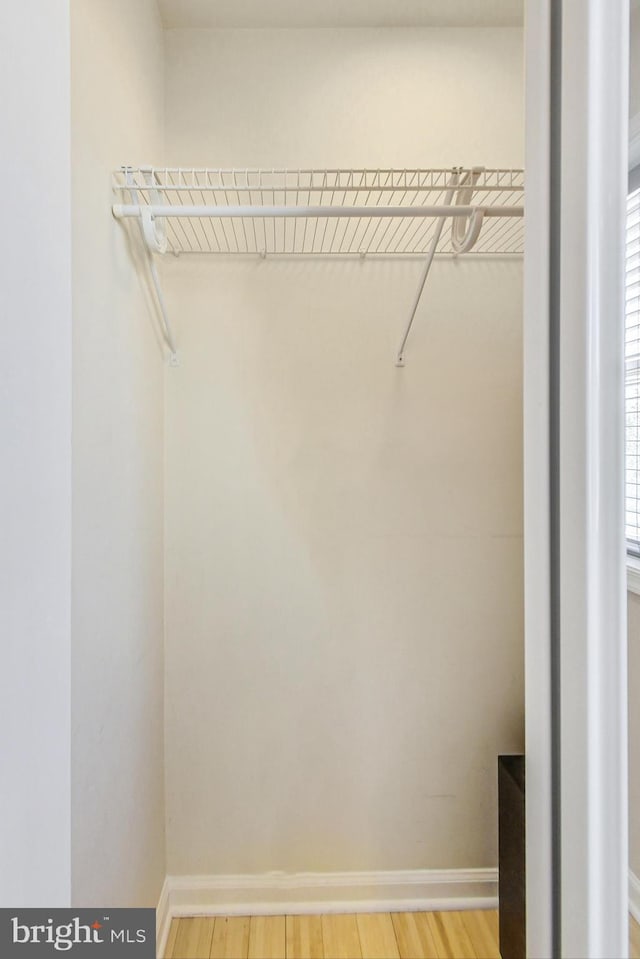 spacious closet featuring wood-type flooring