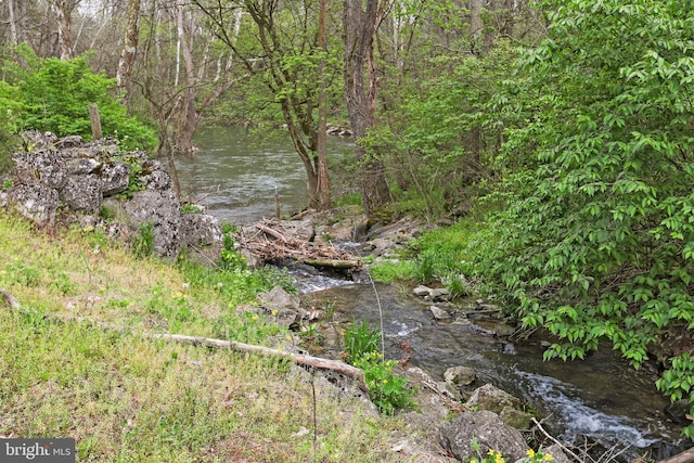 view of local wilderness featuring a water view