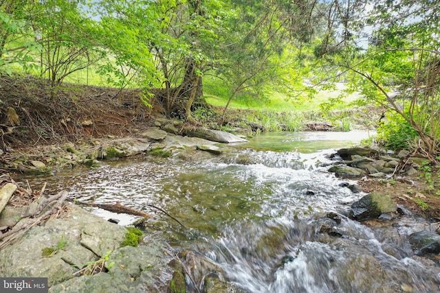 view of local wilderness featuring a water view