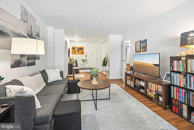 living room featuring hardwood / wood-style floors