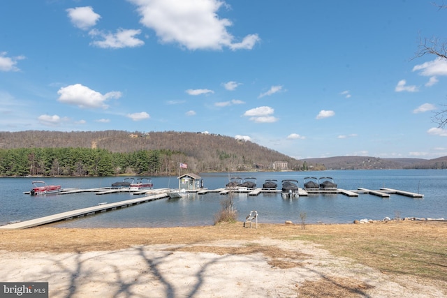 exterior space featuring a boat dock