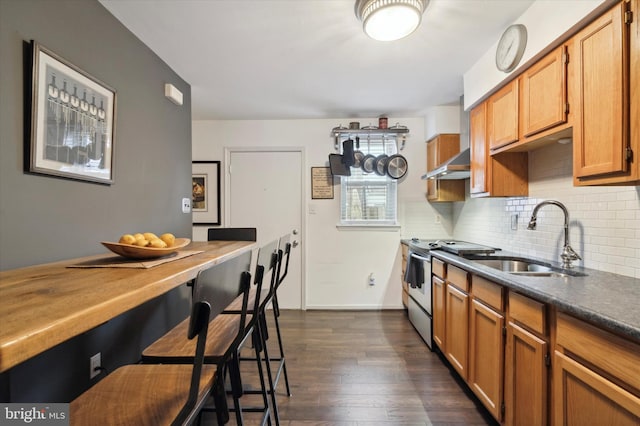 kitchen with electric stove, exhaust hood, tasteful backsplash, dark wood-type flooring, and sink