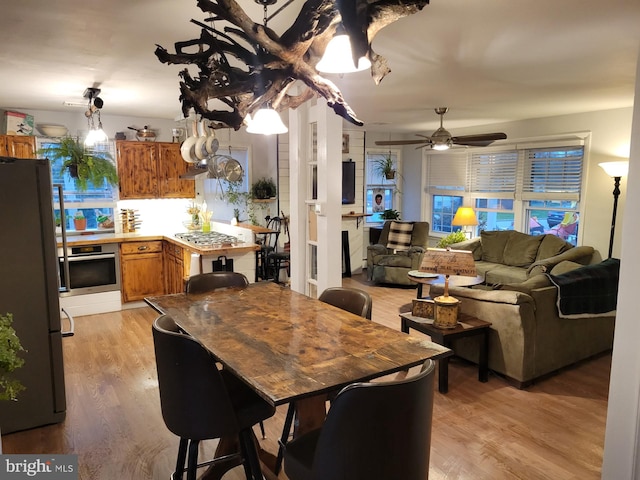 dining space with light hardwood / wood-style flooring and ceiling fan