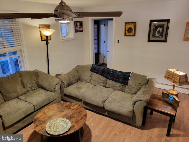 living room with light hardwood / wood-style floors and ceiling fan