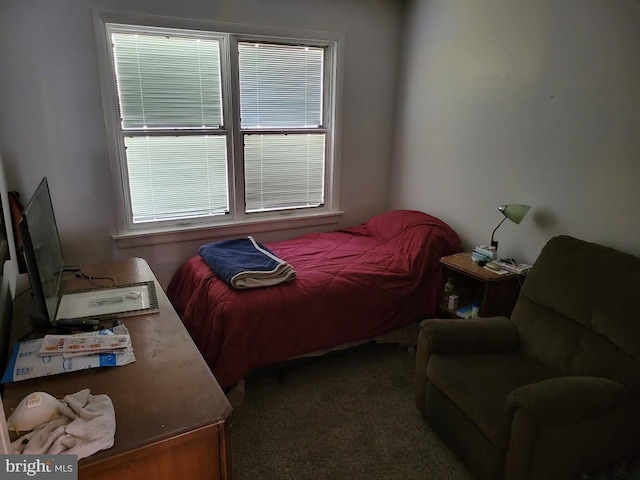 carpeted bedroom with multiple windows