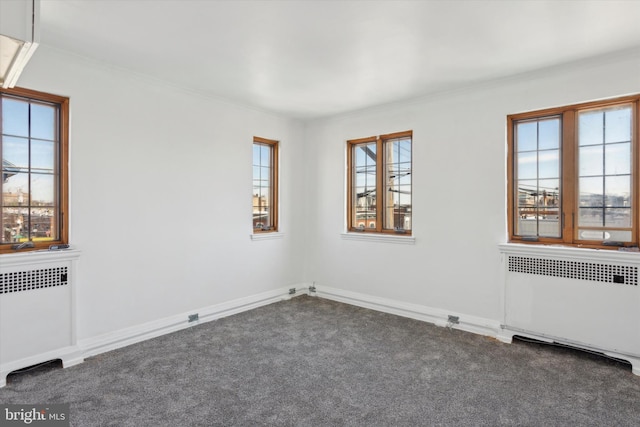 carpeted empty room featuring crown molding, a healthy amount of sunlight, and radiator