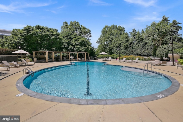 view of swimming pool with a patio