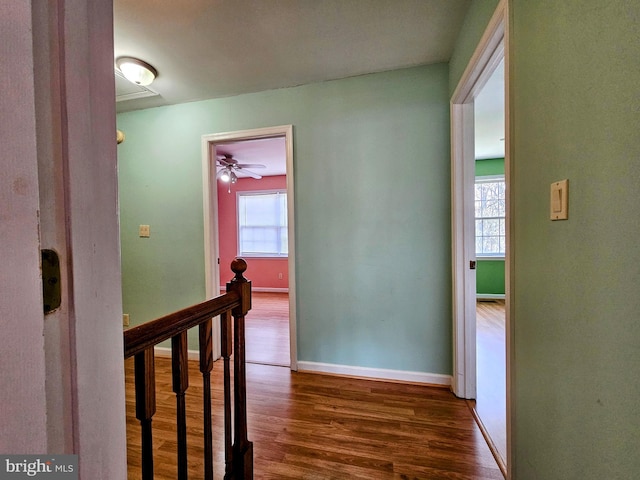 corridor with dark hardwood / wood-style flooring