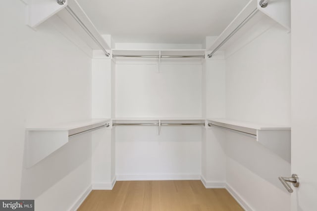 spacious closet featuring light hardwood / wood-style flooring