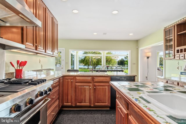 kitchen with extractor fan, stainless steel range, and sink