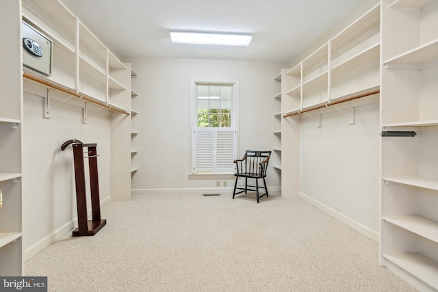 spacious closet featuring light colored carpet