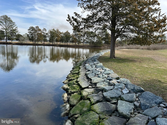 view of water feature