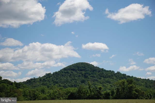 Listing photo 2 for LOT35 Lotus Psge, Dauphin PA 17018