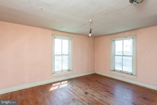 unfurnished room featuring wood-type flooring and a wealth of natural light