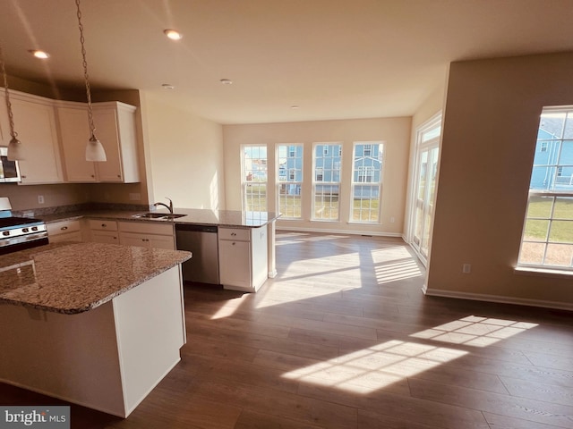 kitchen with dark hardwood / wood-style floors, a wealth of natural light, stainless steel appliances, and sink