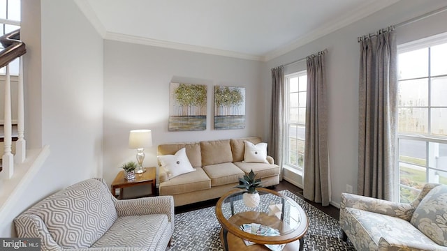 interior space featuring a wealth of natural light and ornamental molding