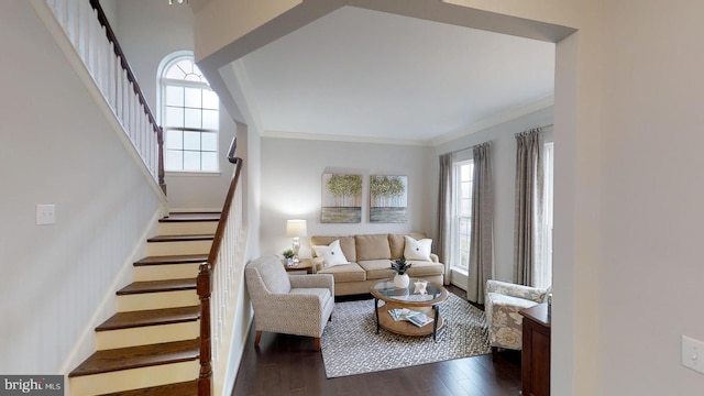 living room with ornamental molding and dark hardwood / wood-style floors