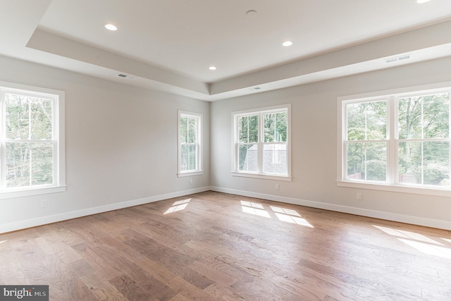 spare room featuring a wealth of natural light and wood-type flooring