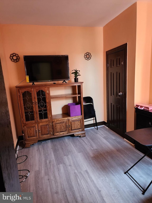 living room with hardwood / wood-style flooring