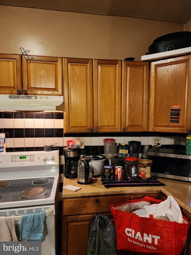 kitchen with white range with electric stovetop, premium range hood, and tasteful backsplash