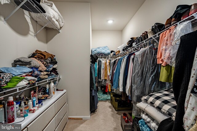 spacious closet with light colored carpet