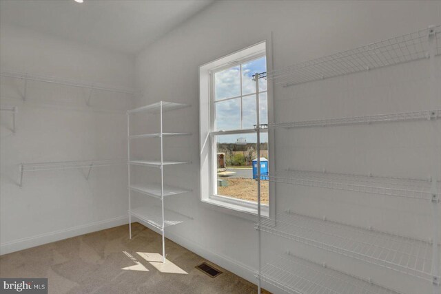 spacious closet featuring light colored carpet