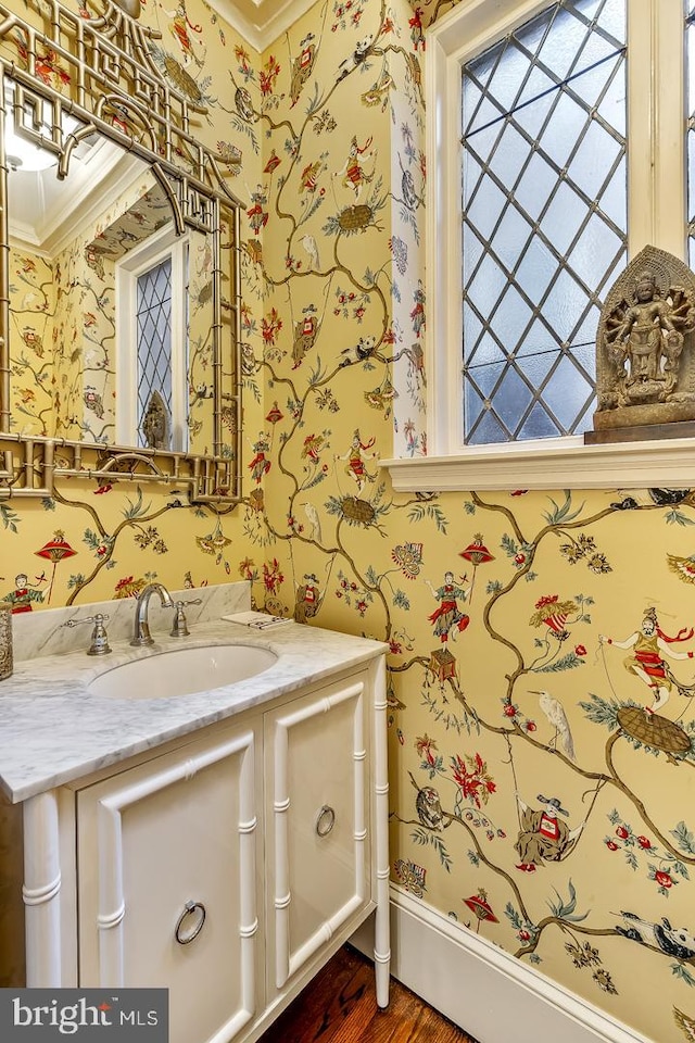 bathroom with crown molding, large vanity, and hardwood / wood-style floors