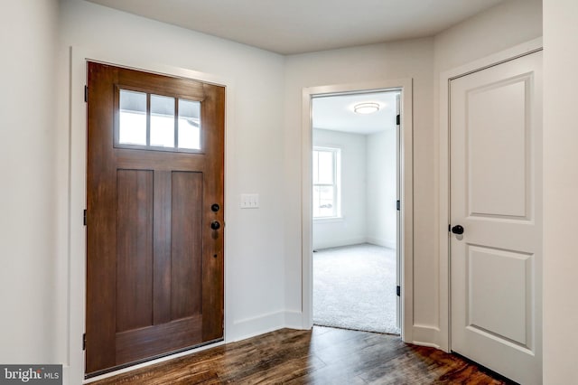 entryway featuring plenty of natural light and dark carpet