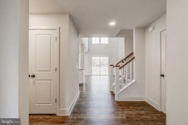 foyer entrance featuring dark hardwood / wood-style flooring