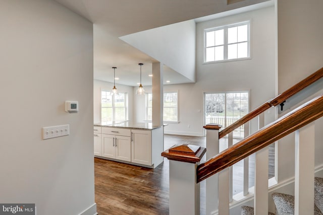 interior space featuring dark hardwood / wood-style floors, a wealth of natural light, and a towering ceiling