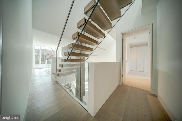 hall with light hardwood / wood-style flooring and a wall of windows