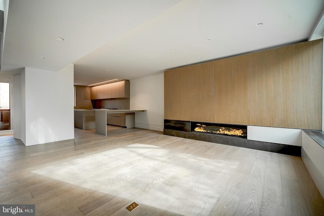 spare room with a fireplace and light hardwood / wood-style floors