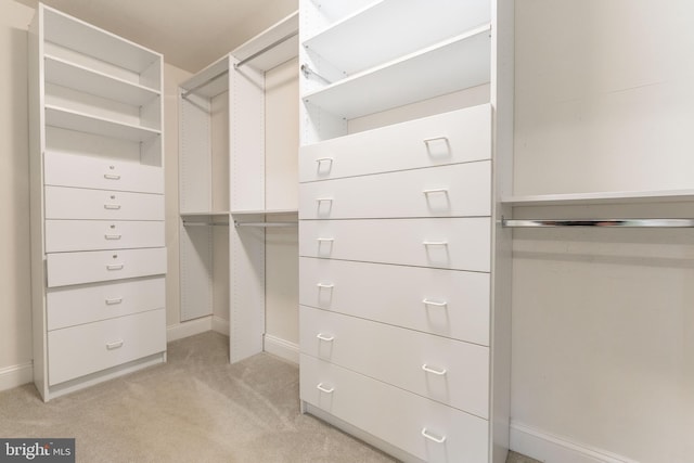 spacious closet with light colored carpet