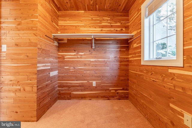 spacious closet with carpet floors