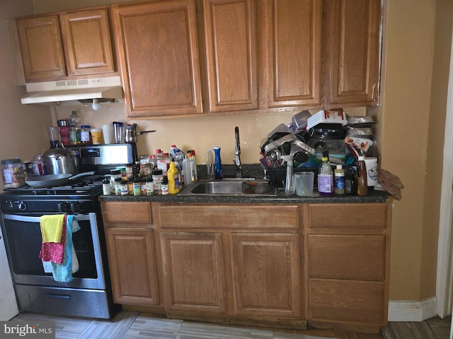 kitchen featuring stainless steel gas stove and sink