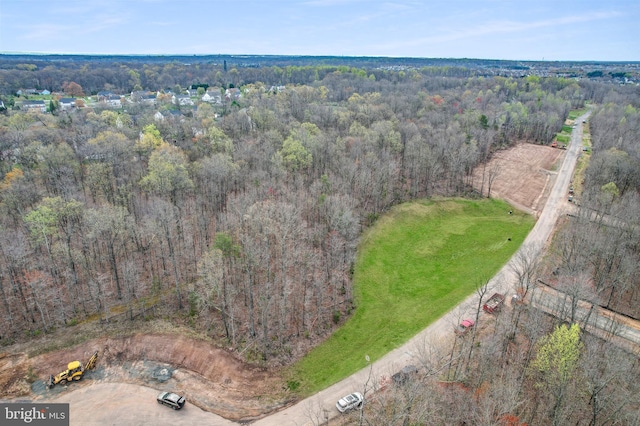 Listing photo 3 for 15070 Fallen Oaks Pl, Gainesville VA 20155