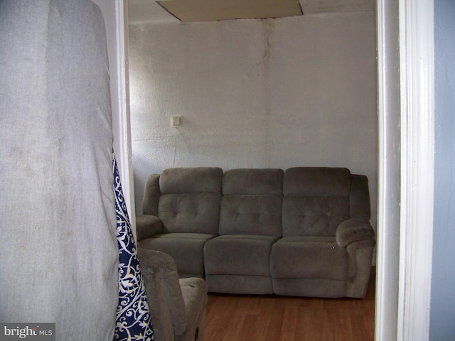 living room with hardwood / wood-style flooring