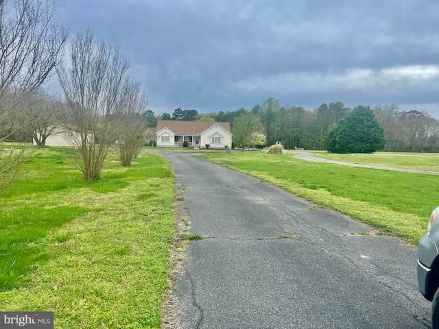 view of street featuring aphalt driveway