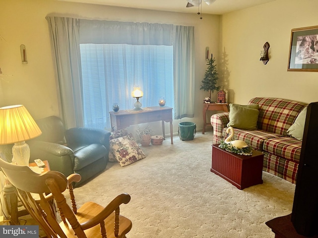 living area featuring carpet