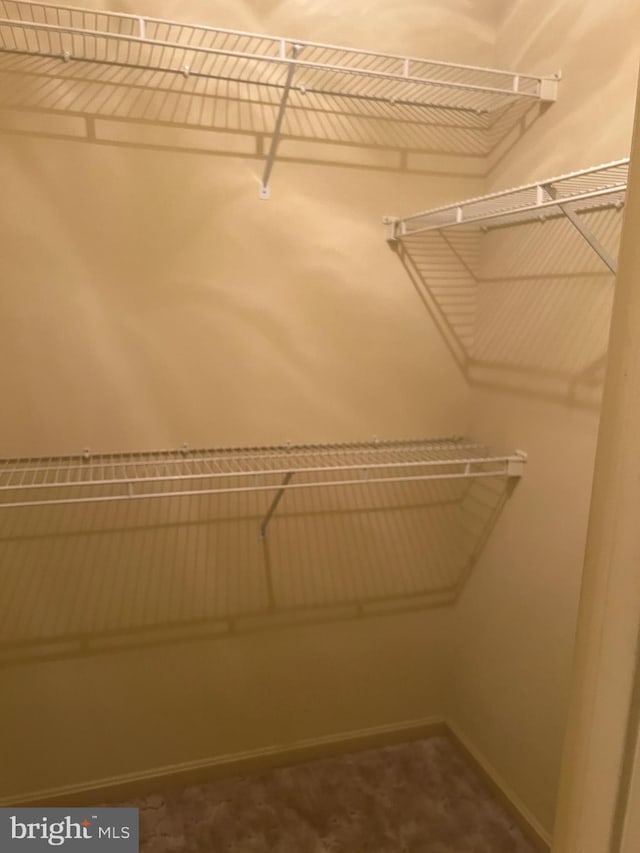 view of walk in closet