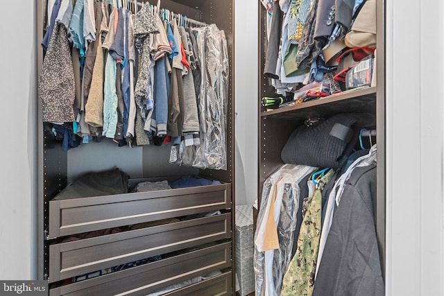 view of spacious closet