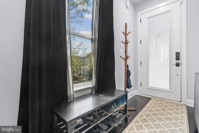 entrance foyer with dark hardwood / wood-style floors