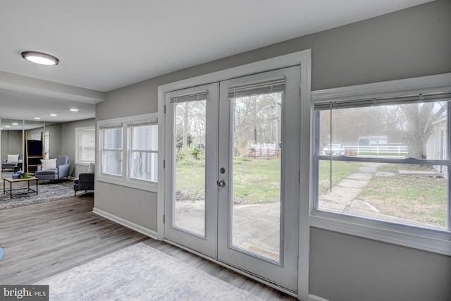 entryway with light wood-type flooring, a wealth of natural light, and french doors