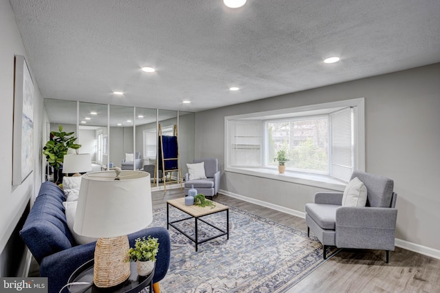 living room with hardwood / wood-style floors and a textured ceiling