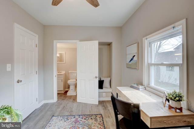 office area featuring ceiling fan, a healthy amount of sunlight, and light hardwood / wood-style floors