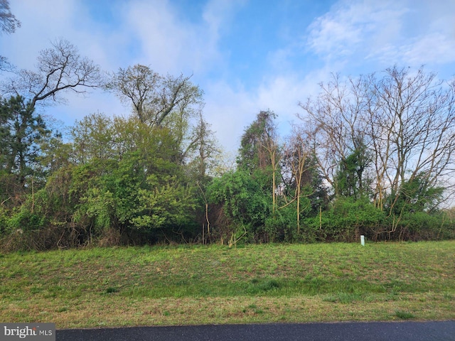 35597 Peregrine Rd, Lewes DE, 19958 land for sale